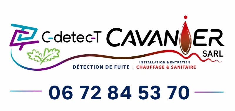C-detec-T et Cavanier SARL — entités regroupées